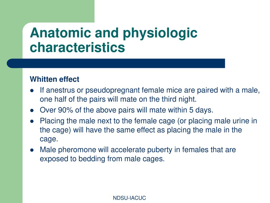 Anatomic and physiologic characteristics