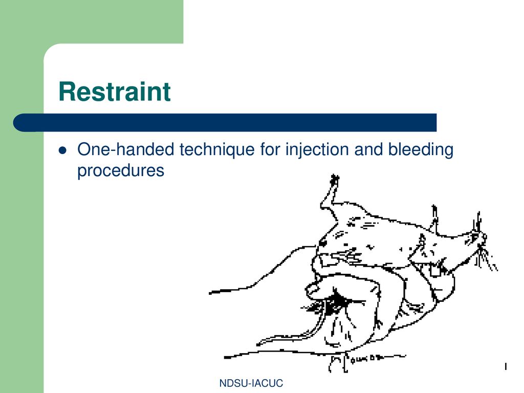 Restraint One-handed technique for injection and bleeding procedures