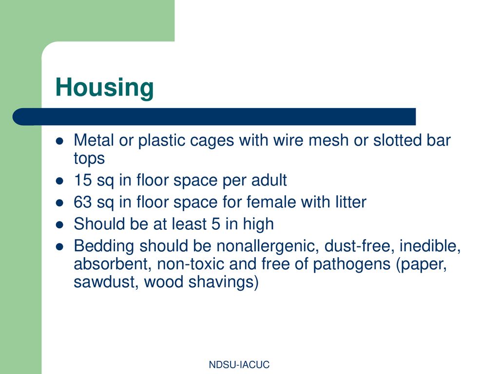 Housing Metal or plastic cages with wire mesh or slotted bar tops