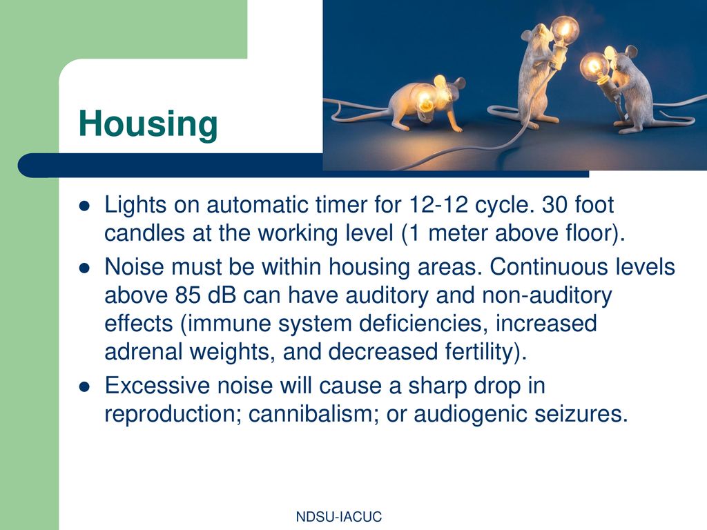 Housing Lights on automatic timer for cycle. 30 foot candles at the working level (1 meter above floor).