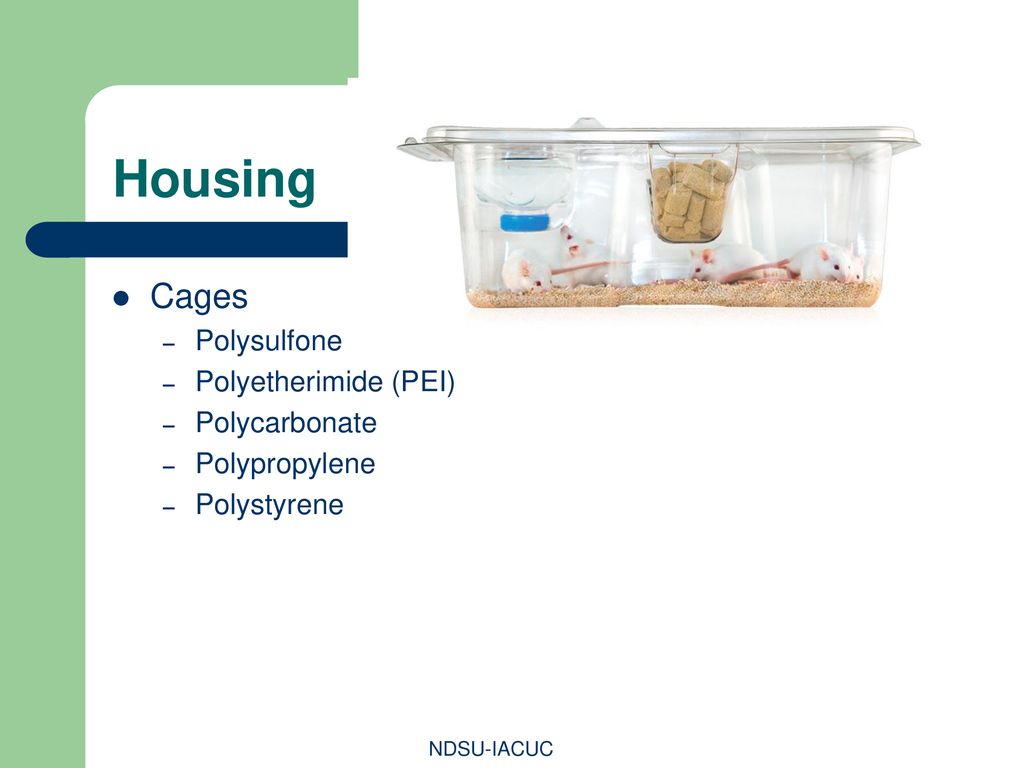 Housing Cages Polysulfone Polyetherimide (PEI) Polycarbonate