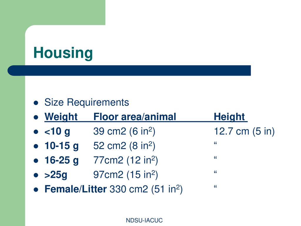 Housing Size Requirements Weight Floor area/animal Height