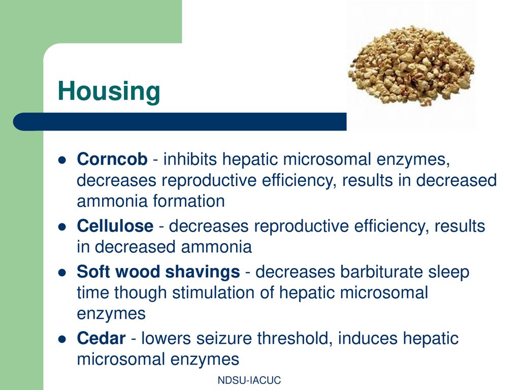 Housing Corncob - inhibits hepatic microsomal enzymes, decreases reproductive efficiency, results in decreased ammonia formation.