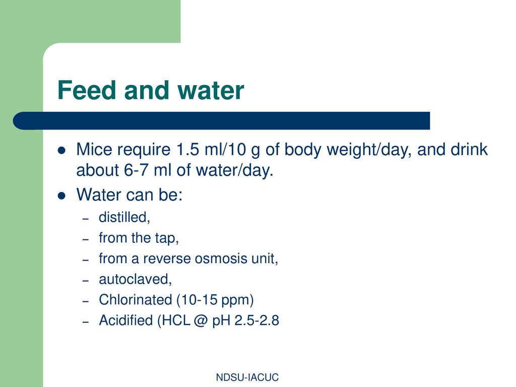 Feed and water Mice require 1.5 ml/10 g of body weight/day, and drink about 6-7 ml of water/day. Water can be: