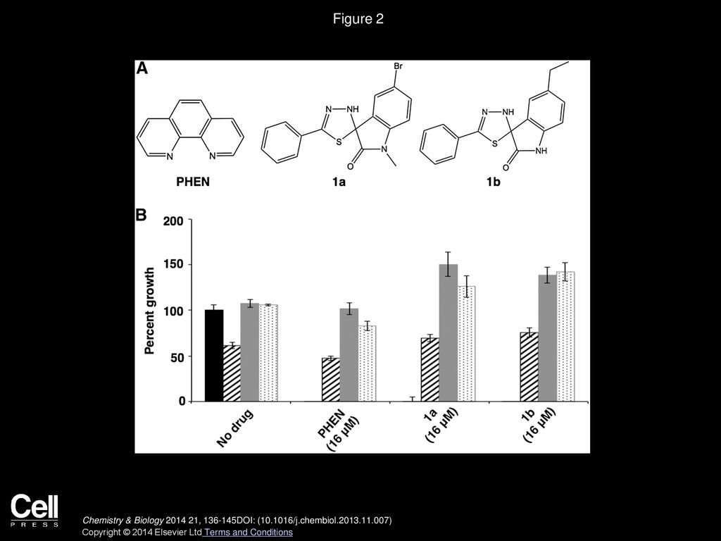 Figure 2 Activity of Compounds Is Suppressed by Each Apo-Enterobactin, Ferrous Chloride, and Ferric Chloride.