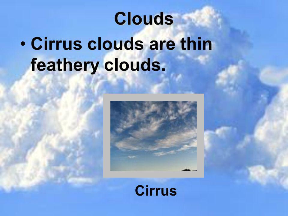 Cirrus clouds are thin feathery clouds.