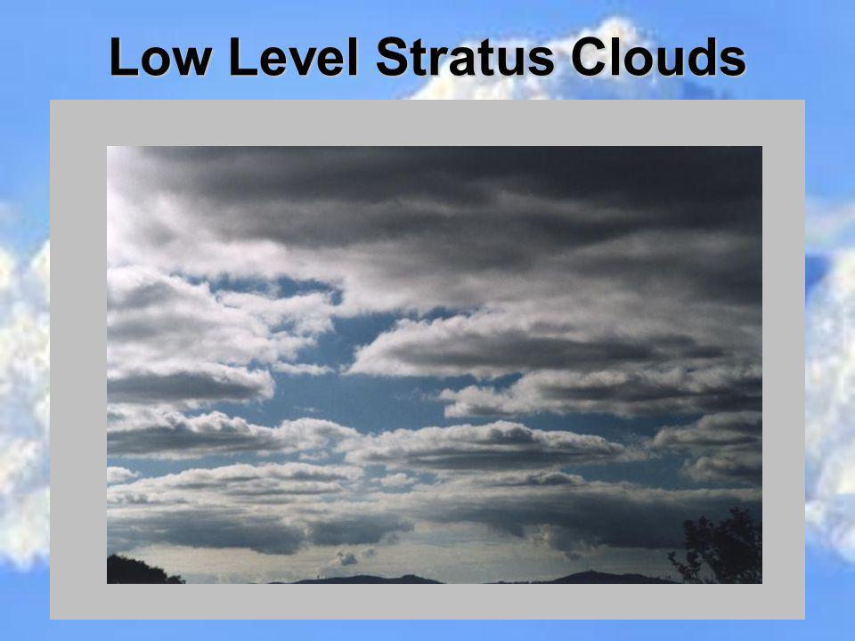 Low Level Stratus Clouds