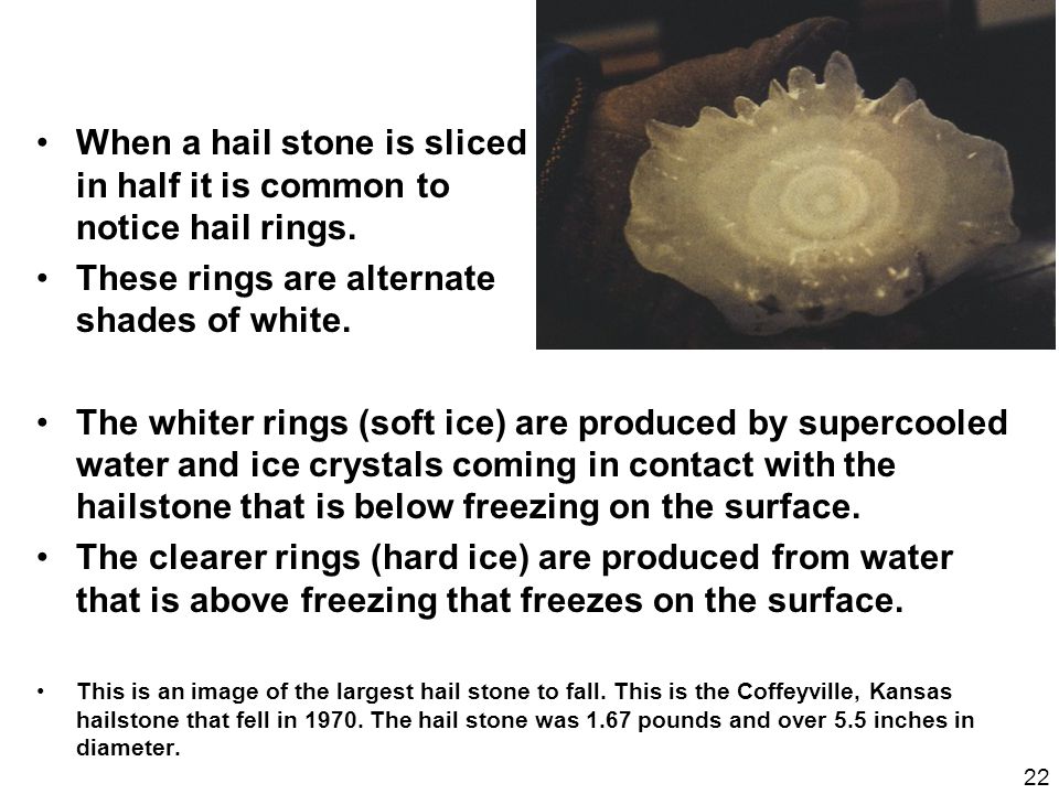 When a hail stone is sliced in half it is common to notice hail rings.