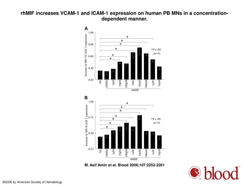 rhMIF increases VCAM-1 and ICAM-1 expression on human PB MNs in a concentration-dependent manner.