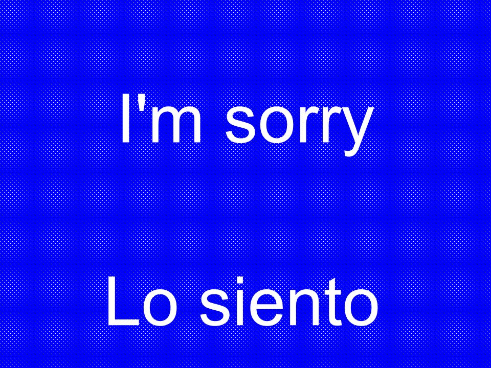 I m sorry Lo siento