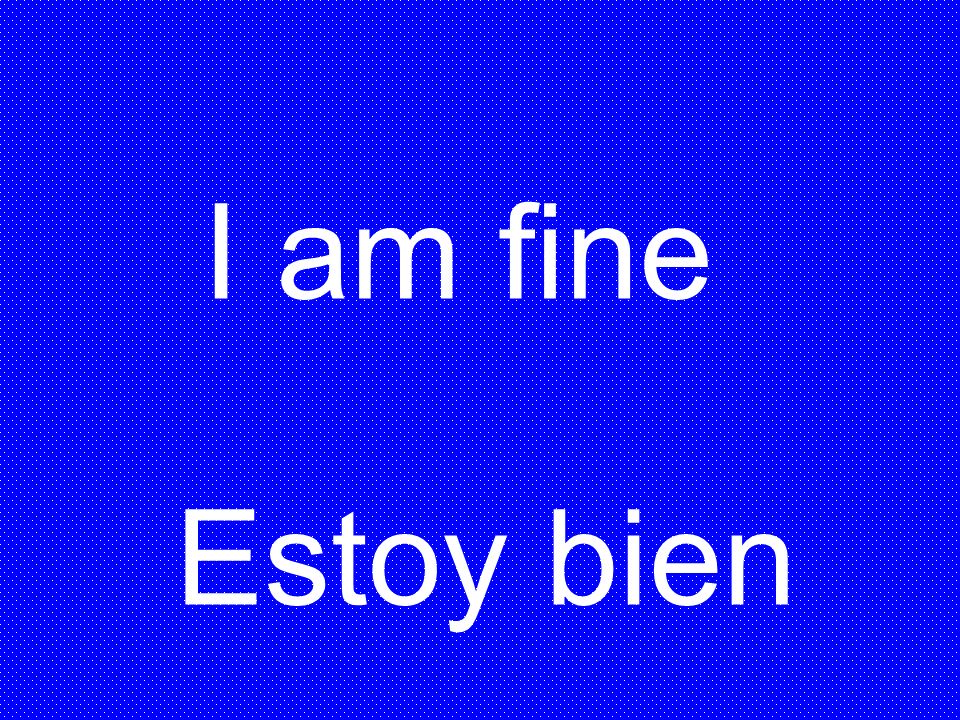 I am fine Estoy bien