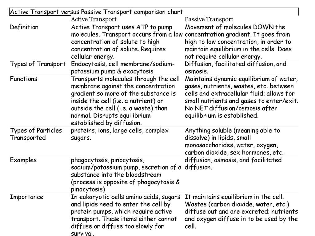 Active Vs Passive Transport Chart