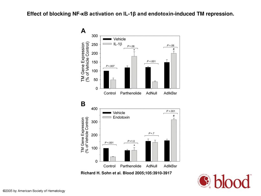 Effect of blocking NF-κB activation on IL-1β and endotoxin-induced TM repression.