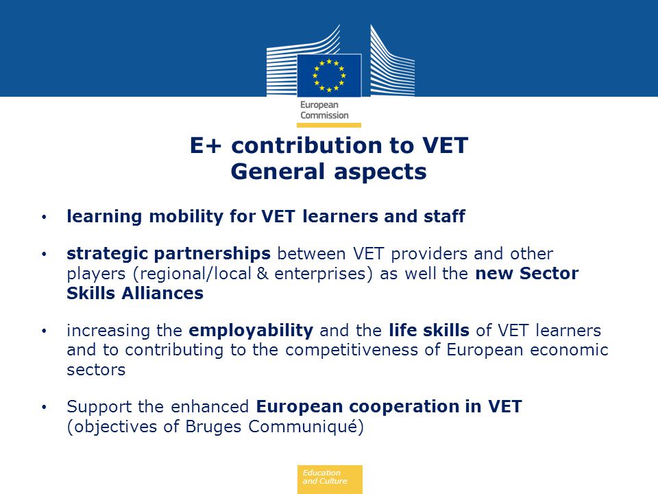 E+ contribution to VET General aspects