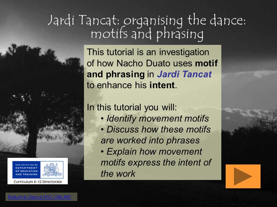 Jardi Tancat: organising the dance: motifs and phrasing