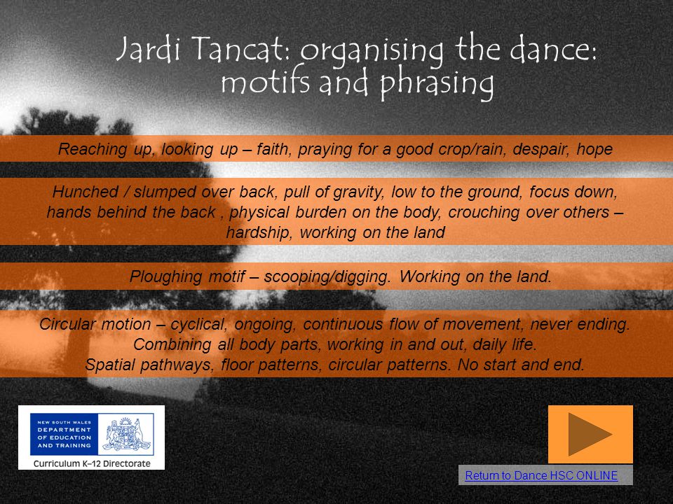 Jardi Tancat: organising the dance: motifs and phrasing