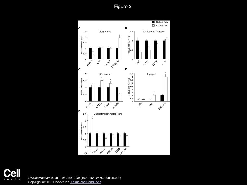 Figure 2 Hepatic GR Controls Genes in the Fatty Acid Oxidation and Lipolytic Pathway.