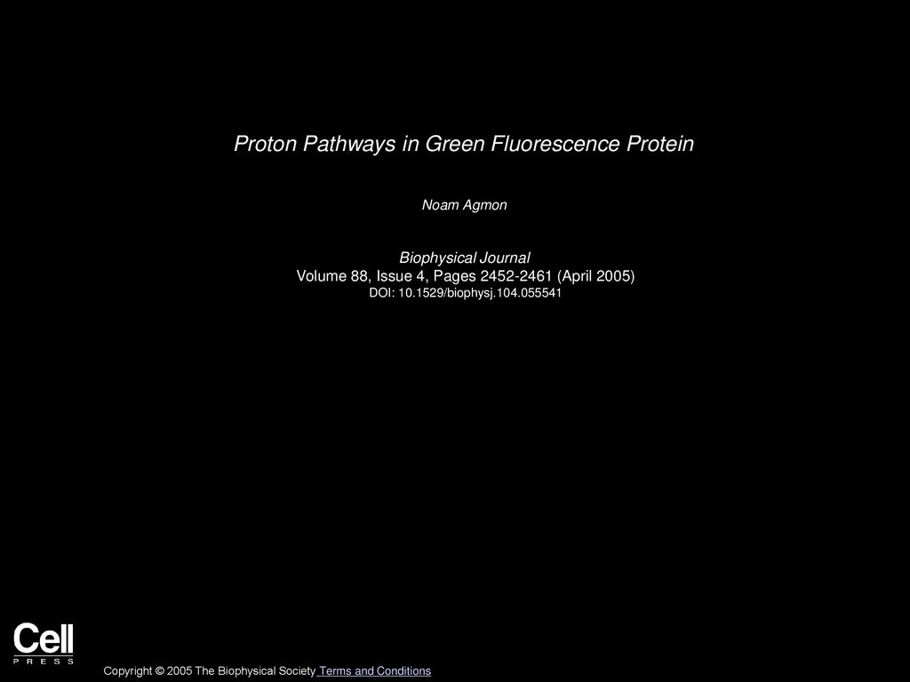 Proton Pathways in Green Fluorescence Protein