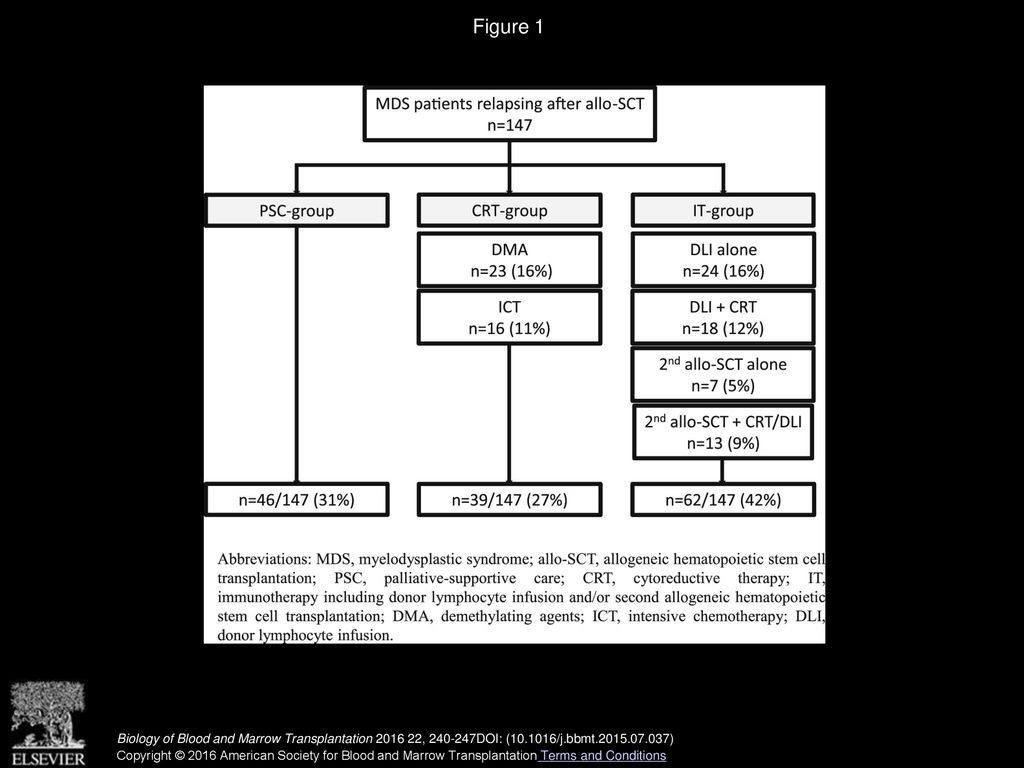 Figure 1 Distribution of the 147 patients with MDS according to the salvage therapy received for relapse after allo-HSCT.