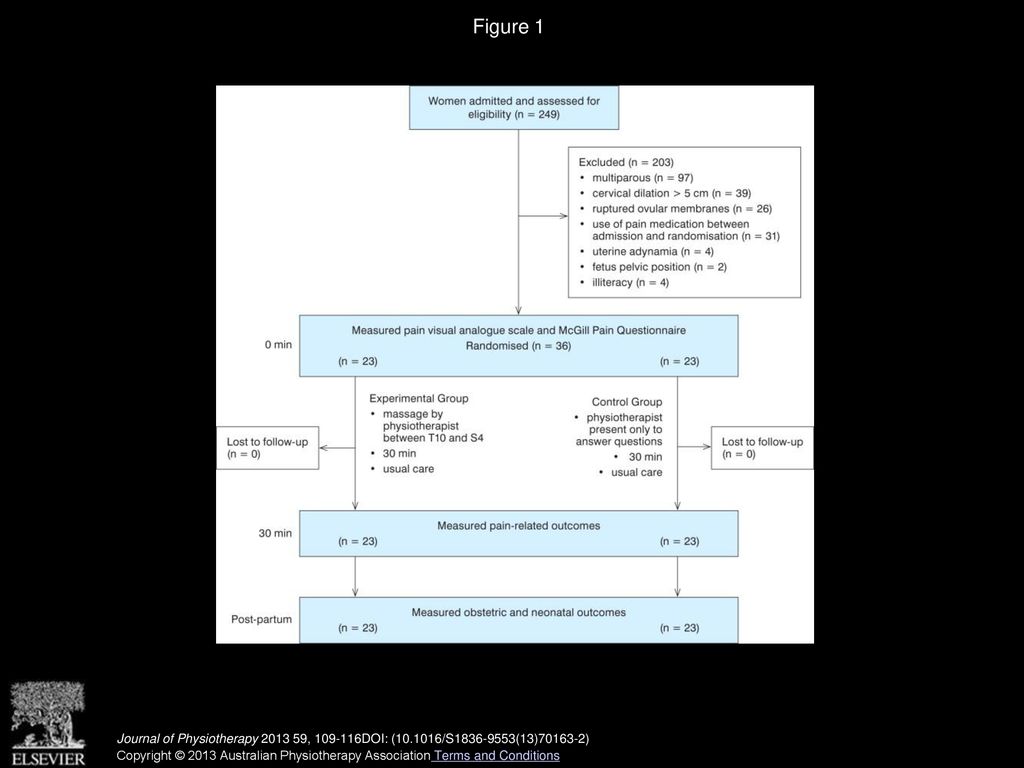 Figure 1 Recruitment and flow of participants through the trial.