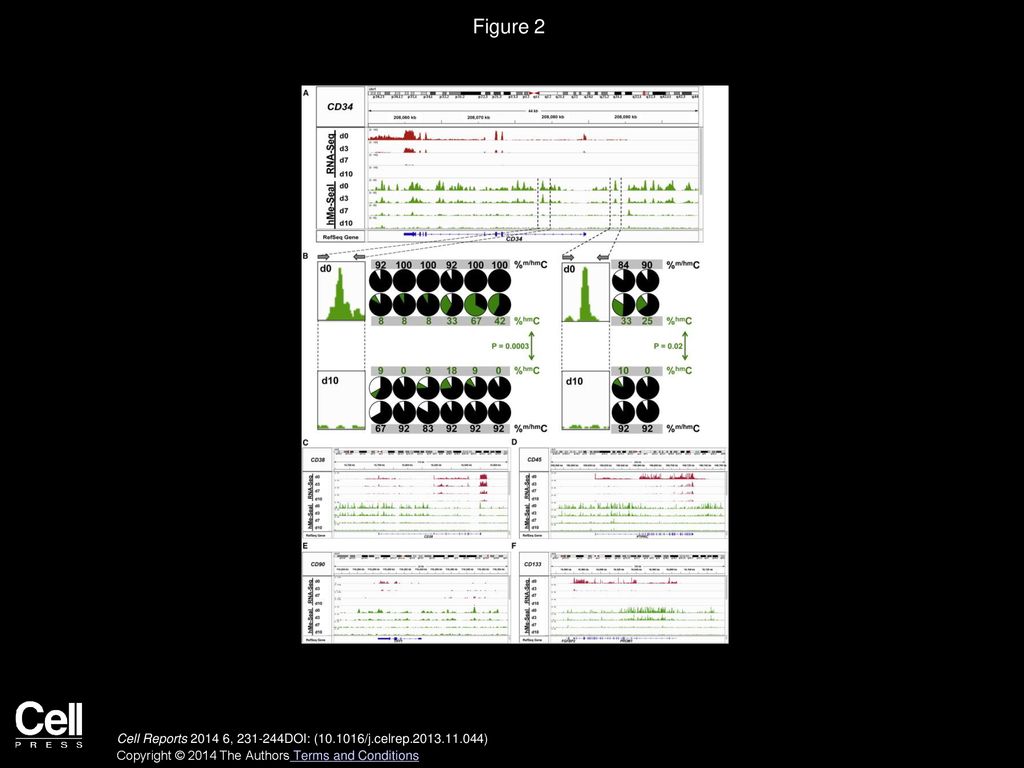 Figure 2 Dynamic Changes of 5-hmC Peaks and RNA-Seq in Regions Surrounding Stem and Progenitor Cell Genes.