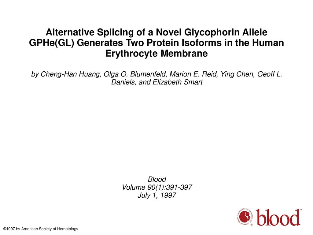 Alternative Splicing of a Novel Glycophorin Allele GPHe(GL) Generates Two Protein Isoforms in the Human Erythrocyte Membrane
