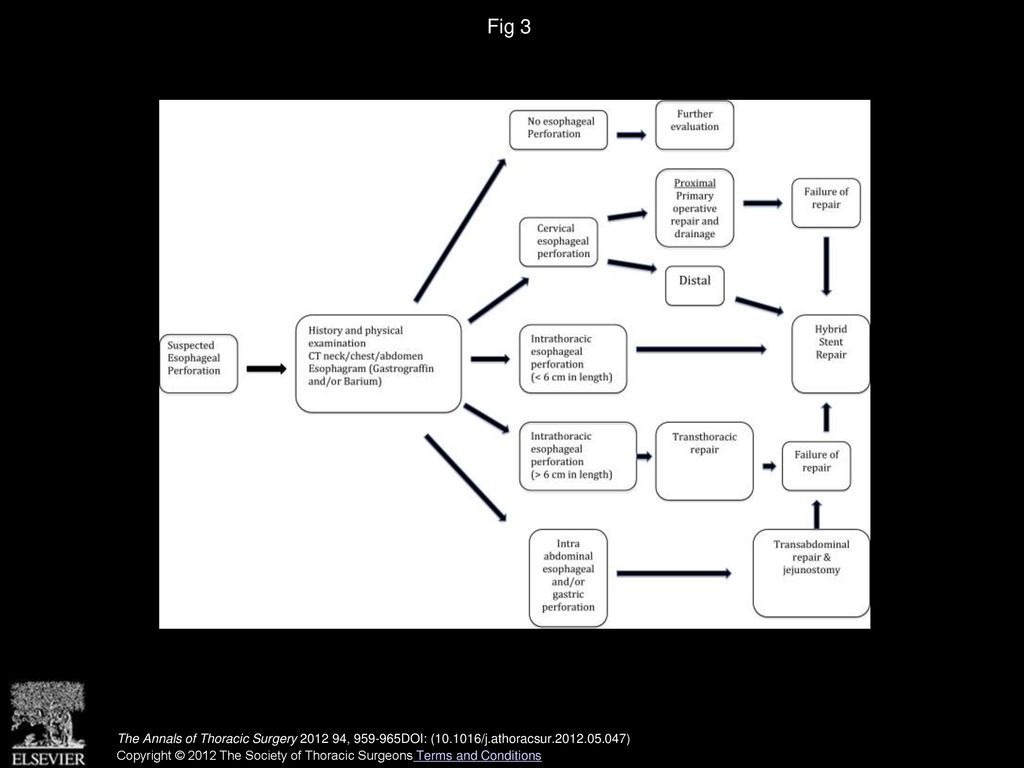 Fig 3 Treatment algorithm for esophageal perforation. (CT = computed tomography.)