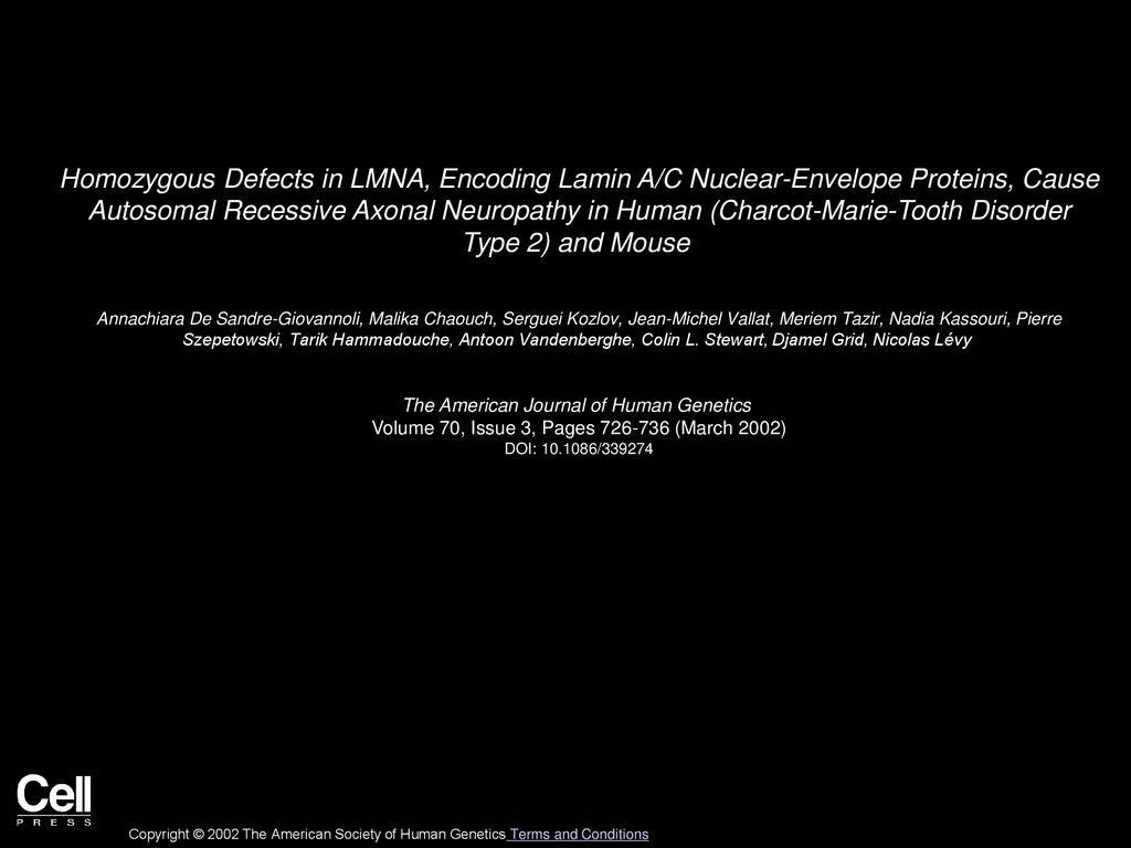 Homozygous Defects in LMNA, Encoding Lamin A/C Nuclear-Envelope Proteins, Cause Autosomal Recessive Axonal Neuropathy in Human (Charcot-Marie-Tooth Disorder Type 2) and Mouse