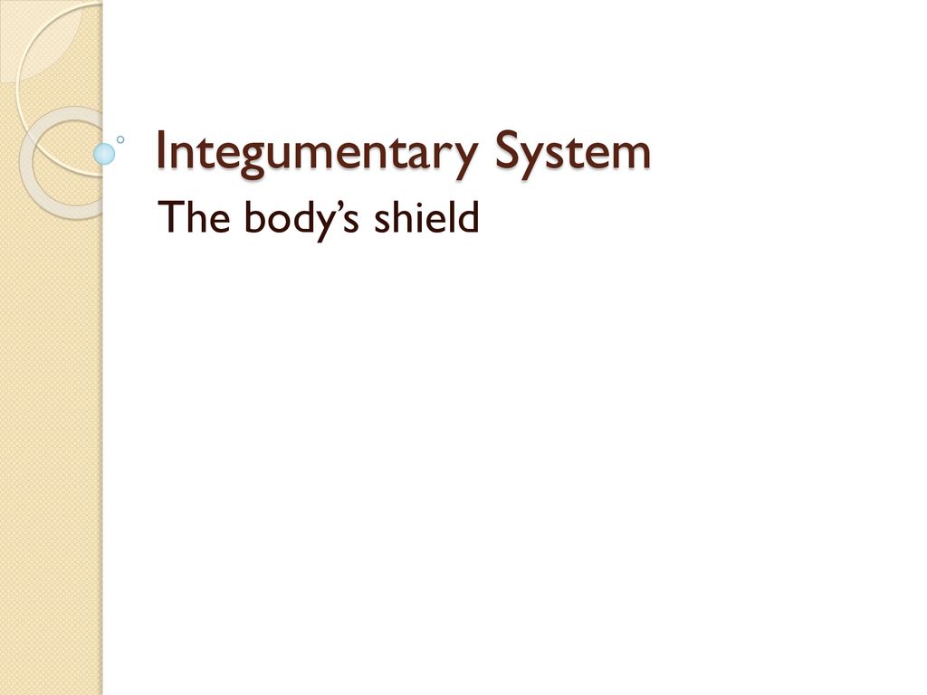 integumentary system the body"s shield.