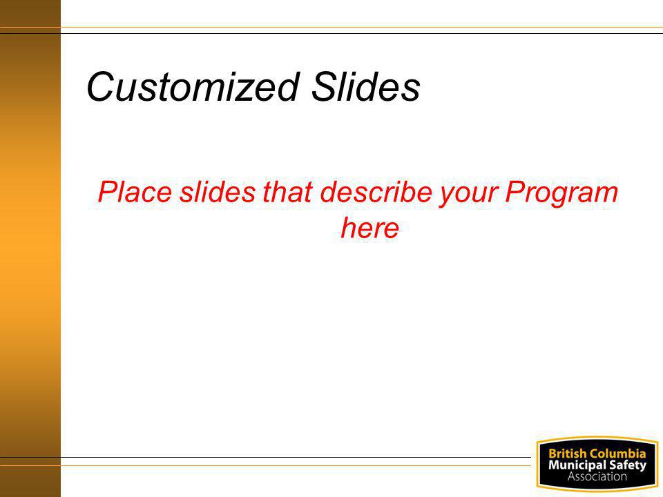 Place slides that describe your Program here