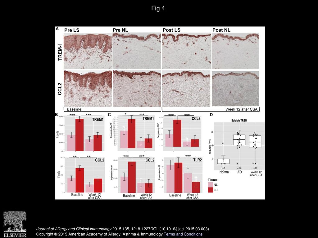 Fig 4