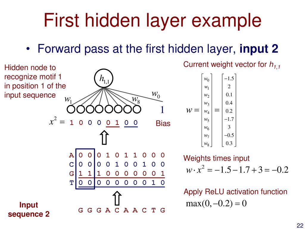 First hidden layer example