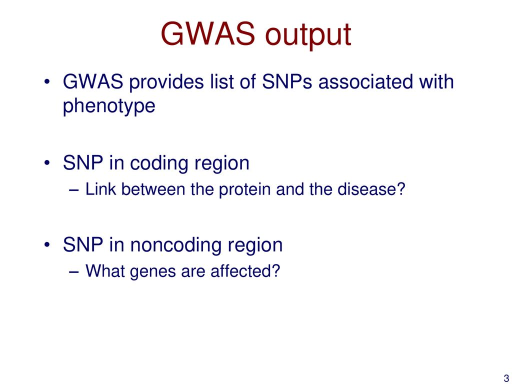 GWAS output GWAS provides list of SNPs associated with phenotype