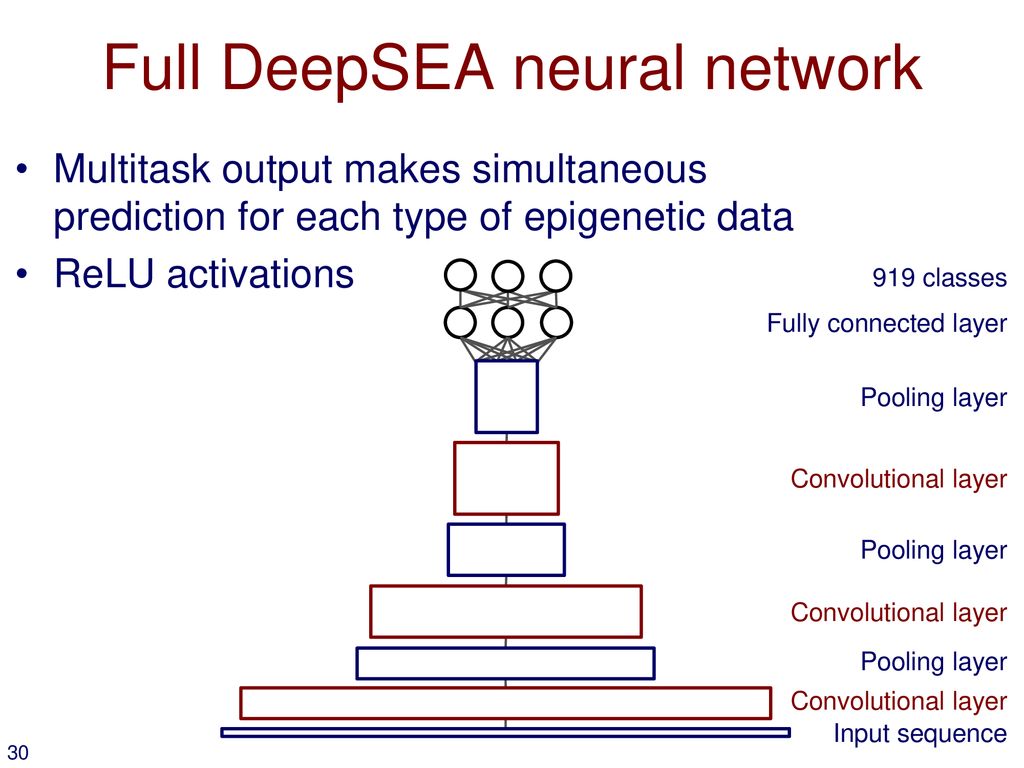 Full DeepSEA neural network