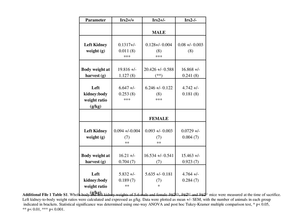 Body weight at harvest (g) Left kidney:body weight ratio (g/kg)