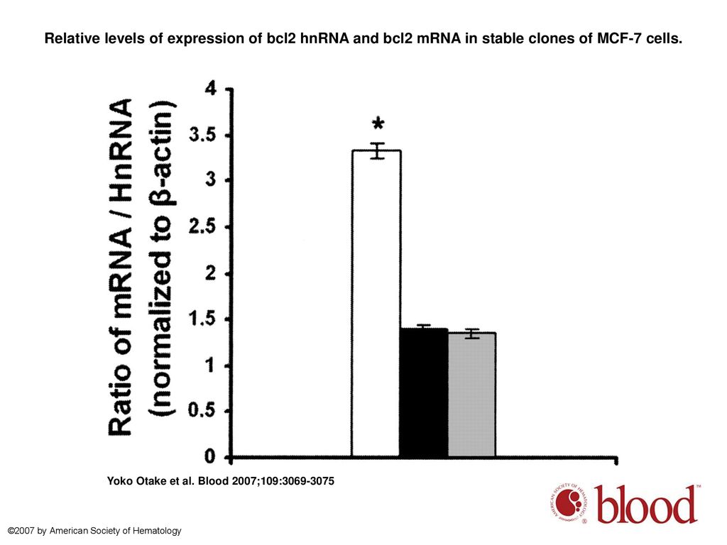 Relative levels of expression of bcl2 hnRNA and bcl2 mRNA in stable clones of MCF-7 cells.