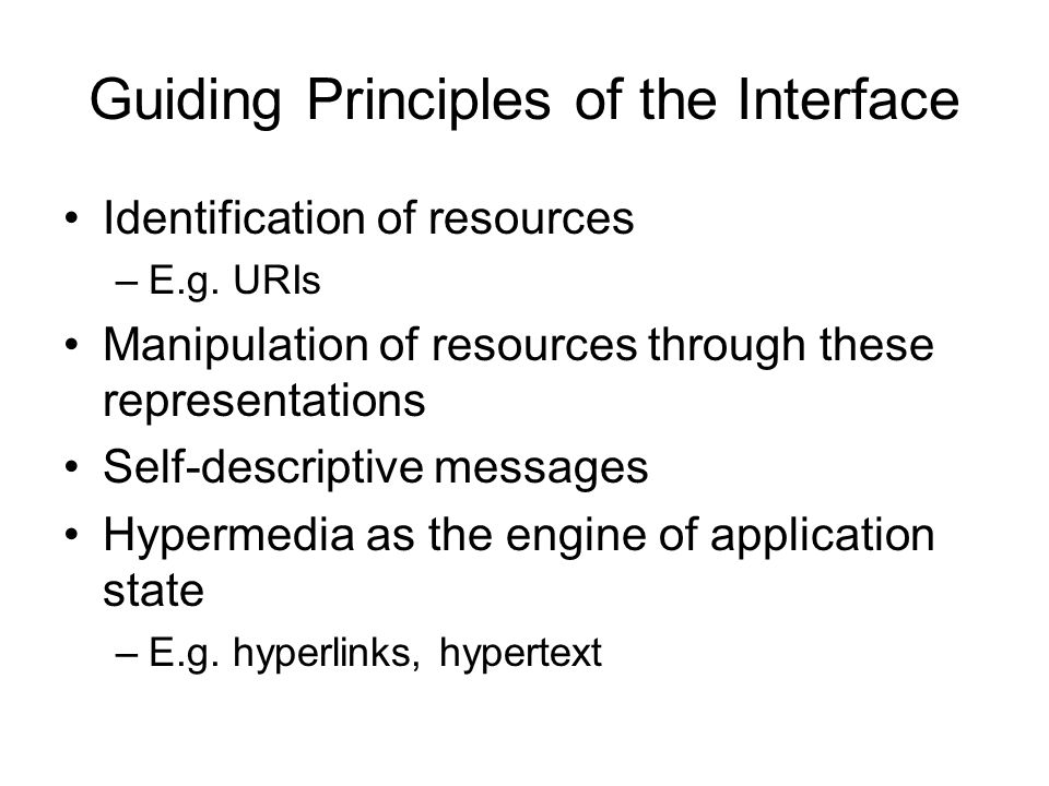 Guiding Principles of the Interface