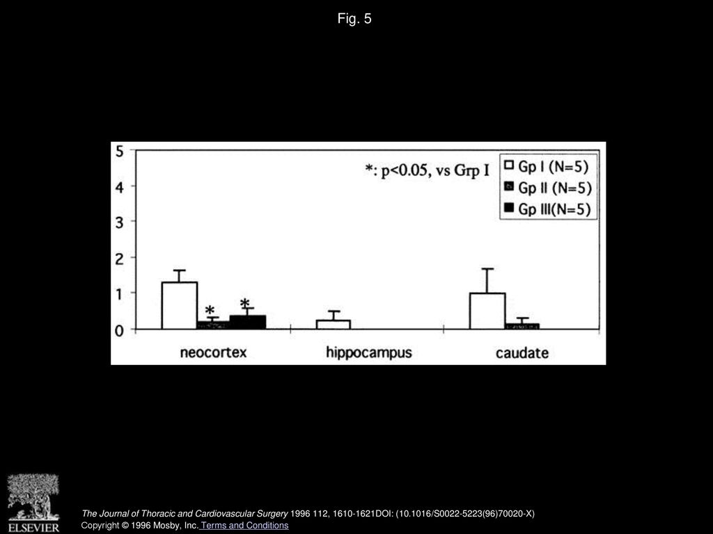 Fig. 5 Histologic score for neocortex, hippocampus, and caudate nucleus.