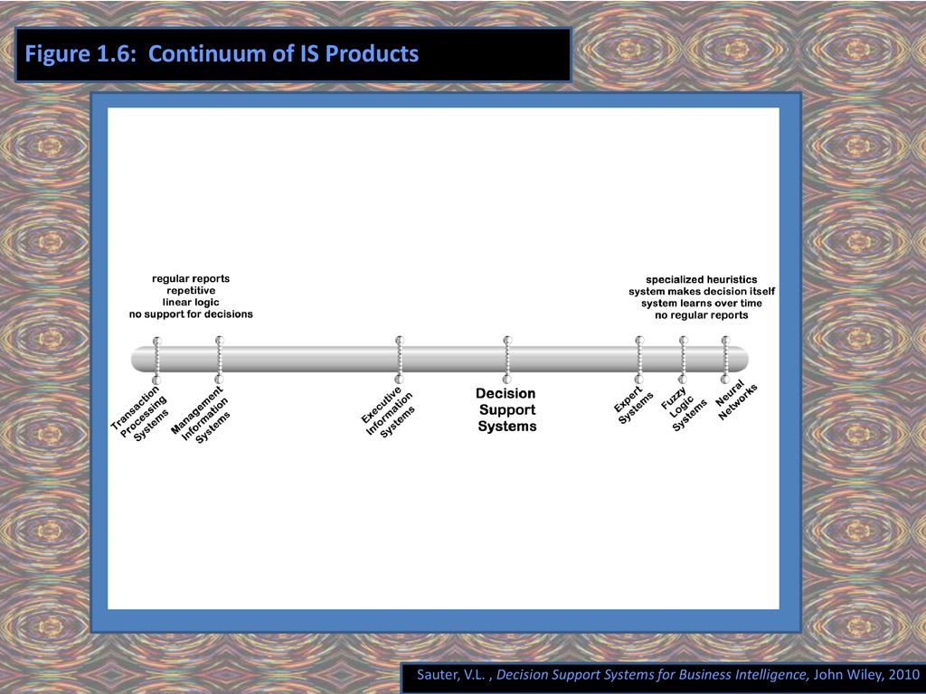 Figure 1.6: Continuum of IS Products