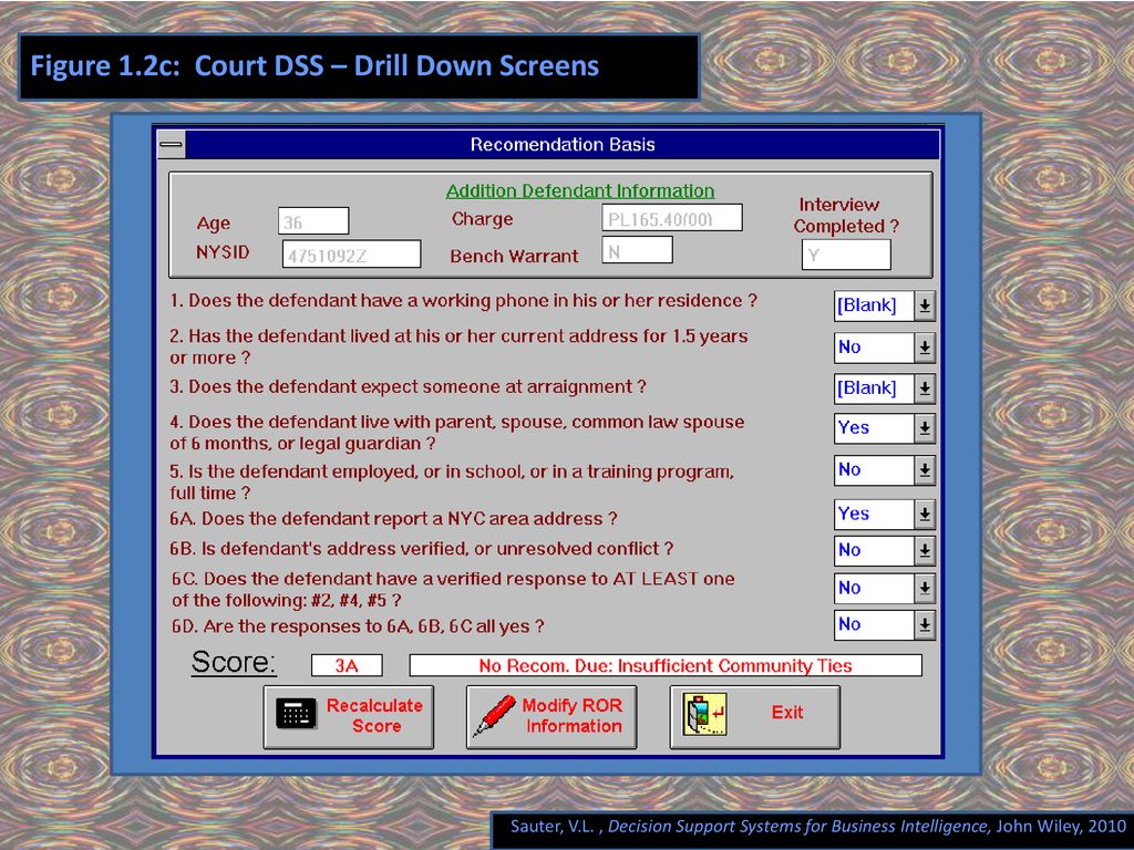 Figure 1.2c: Court DSS – Drill Down Screens