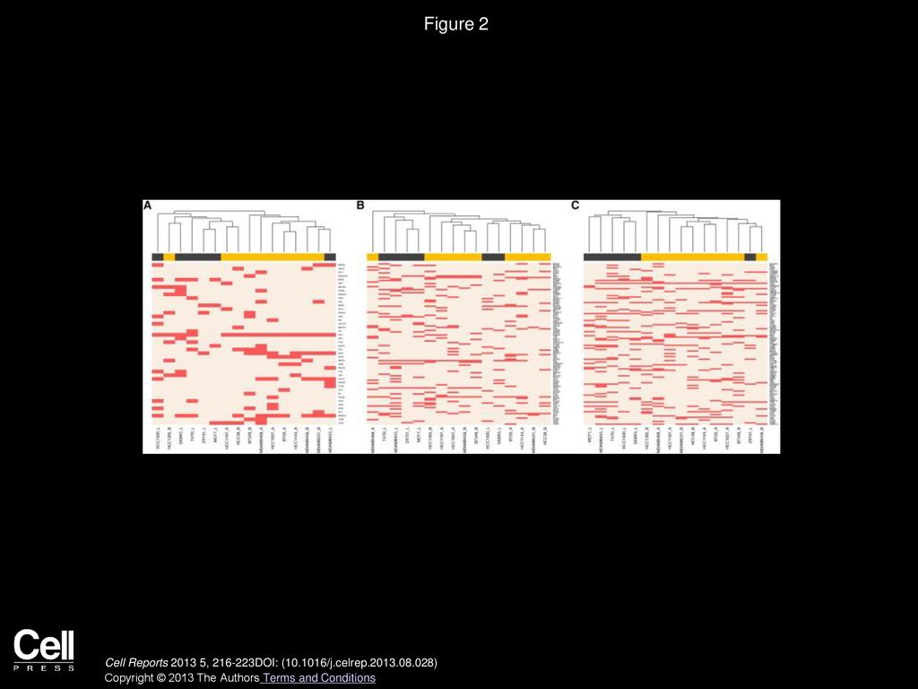 Figure 2 Hierarchical Clustering of the 16 Breast Cancer Cell Lines