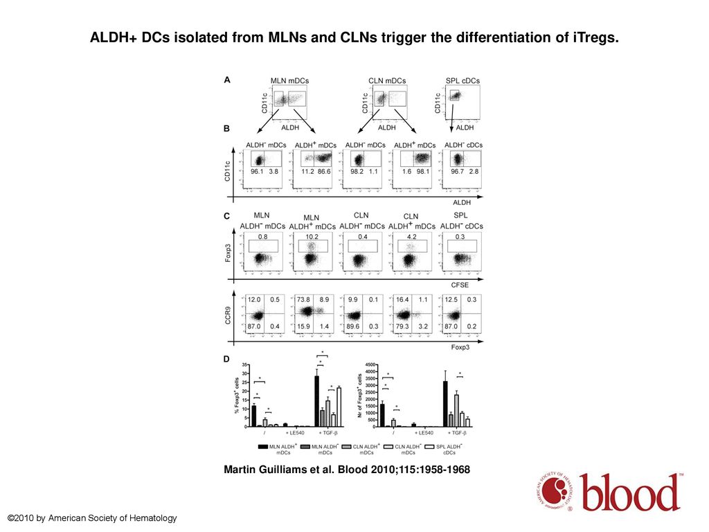 ALDH+ DCs isolated from MLNs and CLNs trigger the differentiation of iTregs.