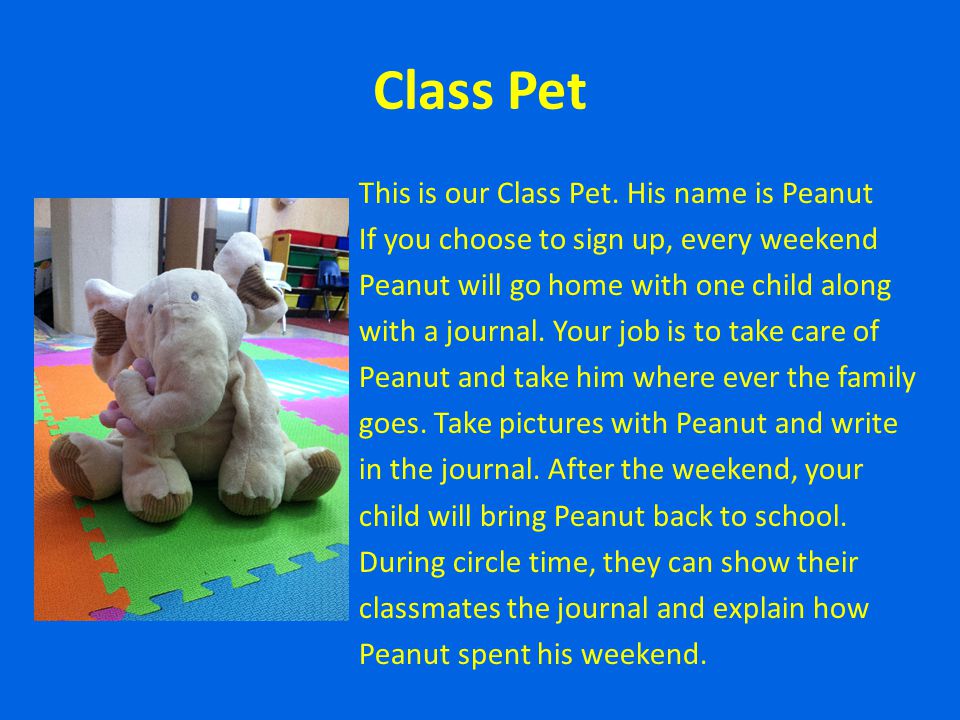 Class Pet