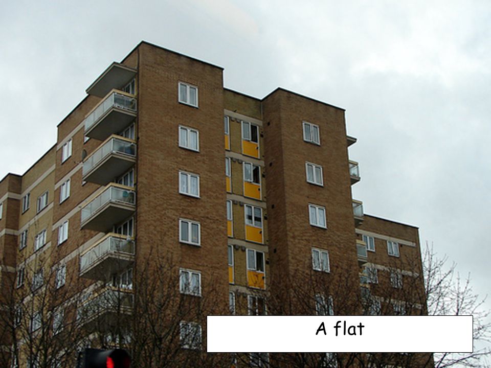 A flat