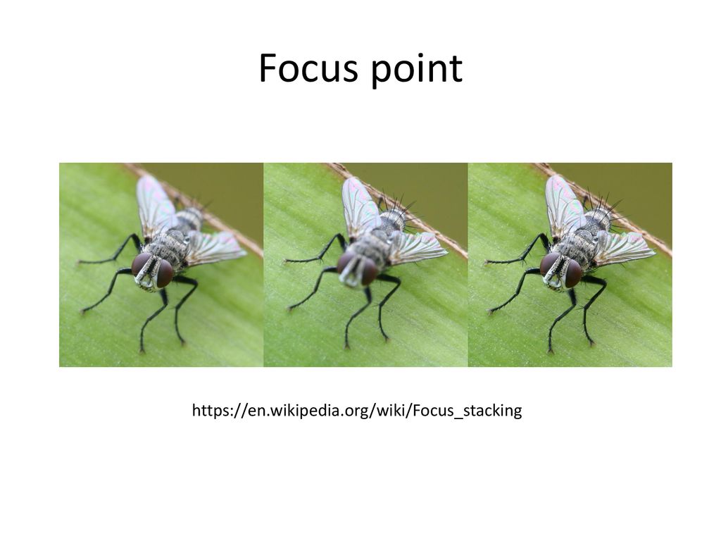 Focus point