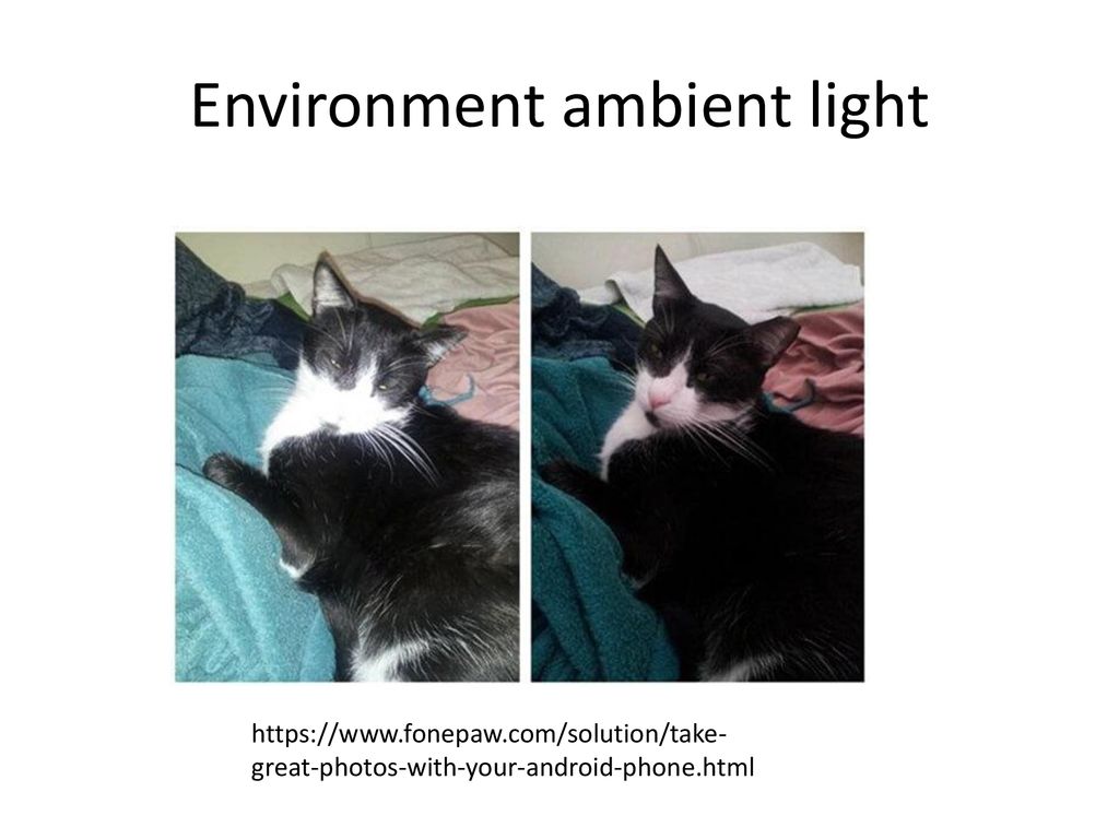 Environment ambient light