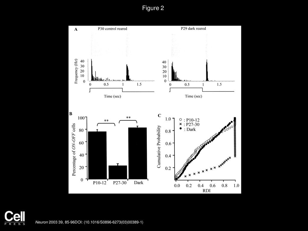 Figure 2 Visual Deprivation Suppresses the Developmental Decrease of ON-OFF RGCs.