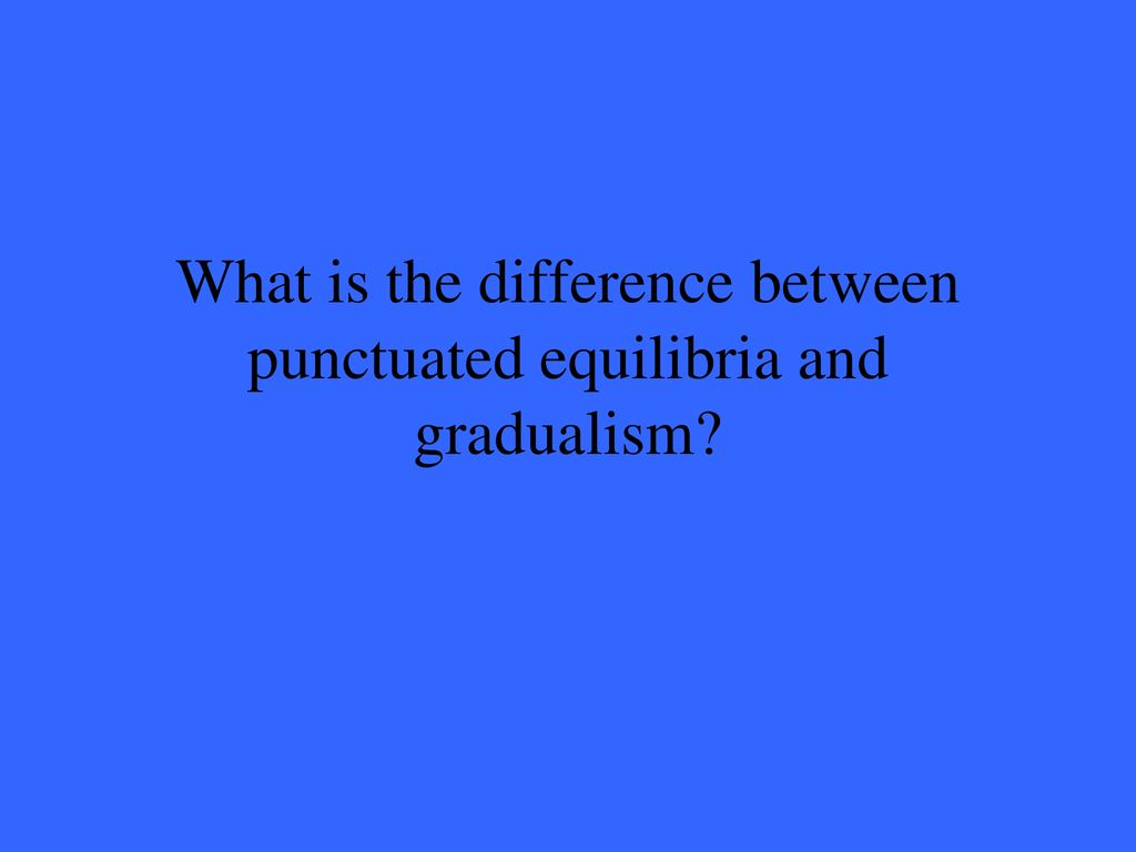 What is the difference between punctuated equilibria and gradualism