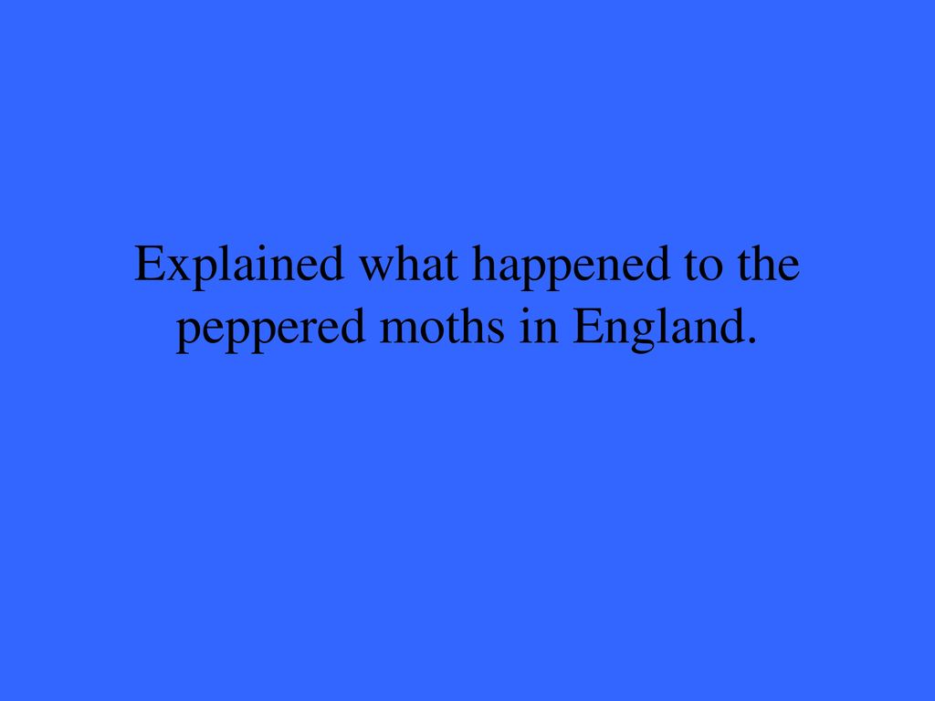 Explained what happened to the peppered moths in England.