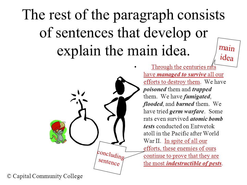 The rest of the paragraph consists of sentences that develop or explain the main idea.